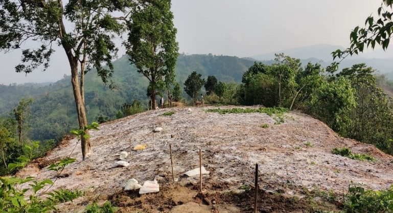 COMMON LANDSCAPE PROBLEMS IN CLLMP AREAS