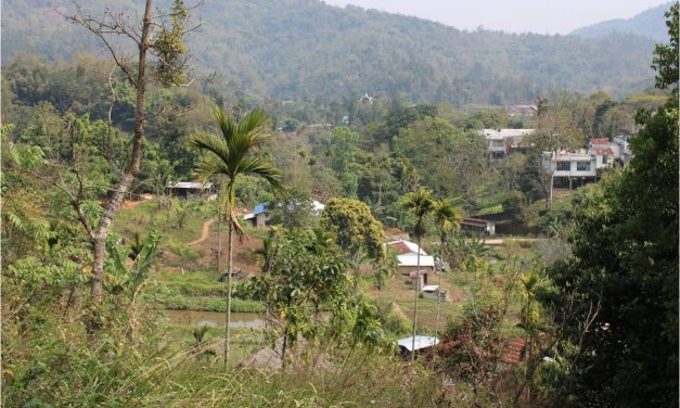 Saiden Village
