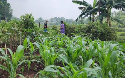 Cultivating Sustainability: A Journey through Umdohbyrthih’s Community-led Landscape Management Project