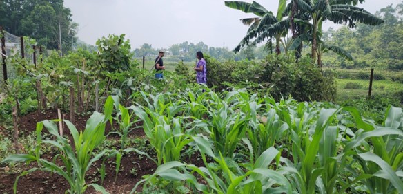 Cultivating Sustainability: A Journey through Umdohbyrthih’s Community-led Landscape Management Project