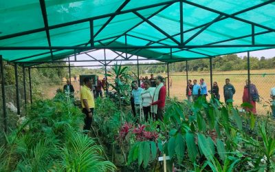 Environmental Transformation in Moolamylliang Village: A Success Story