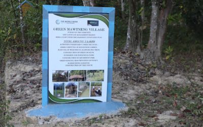 Grassroot Innovation under MBMA-CLLMP GREEN MAWTNENG