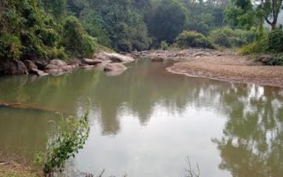 TURTLE SANCTUARY