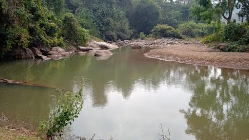 TURTLE SANCTUARY