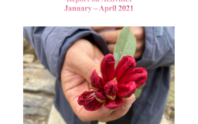Sadhana Forest  January to  Appril 2021