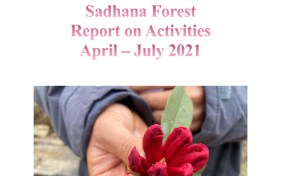 Sadhana Forest  Appril to July 2021