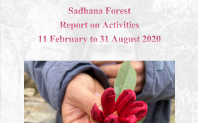 Sadhana Forest 11 febraury to 31 August 2020