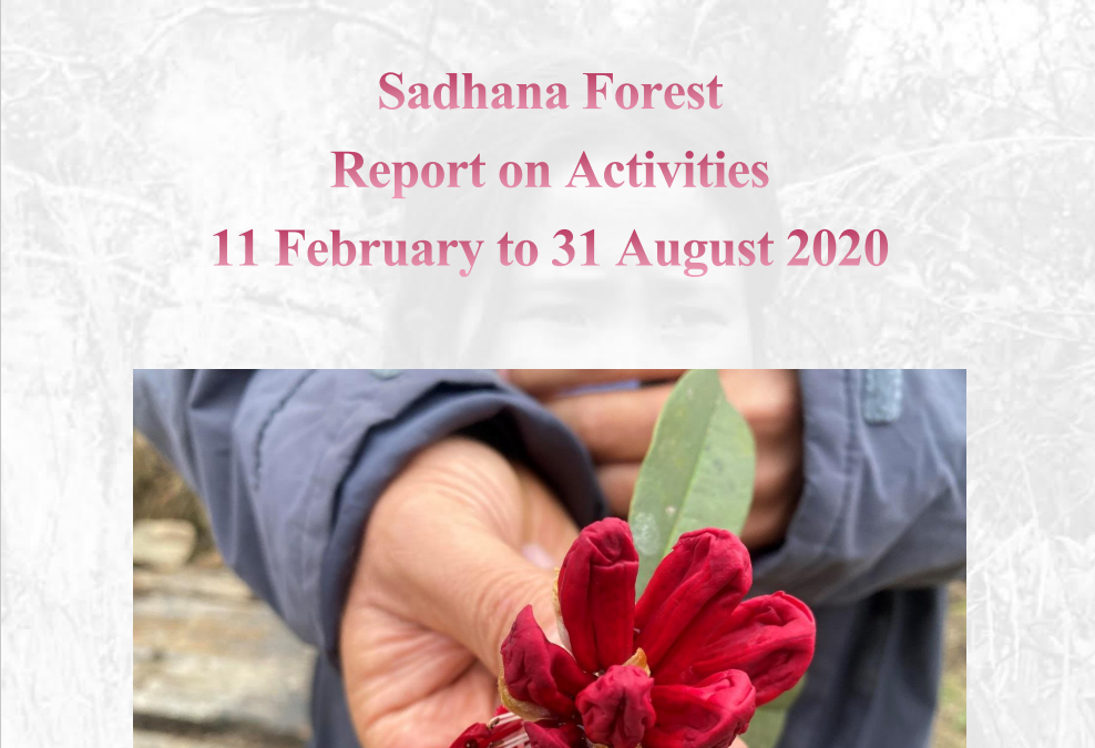 Sadhana Forest 11 febraury to 31 August 2020