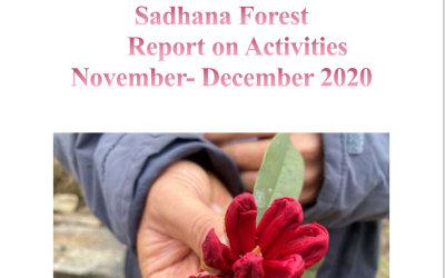Sadhana Forest November to December 2020