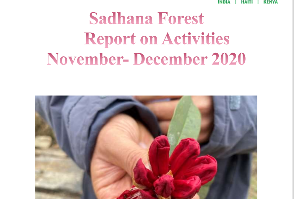 Sadhana Forest November to December 2020