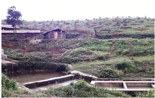 Coal mining ravaged village revives perennial spring