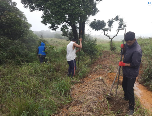 T7 : Community of Nongmadan Shadsngi leveraging NRM initiatives of CLLMP Project
